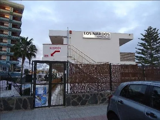 Los Nardos Playa del Ingles  Playa del Ingles (Gran Canaria)